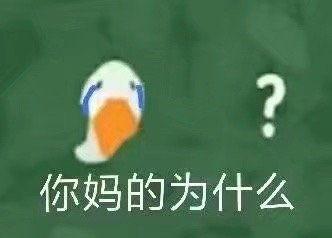 沙雕搞笑视频爆料文案大全,笑料横飞，笑出腹肌！