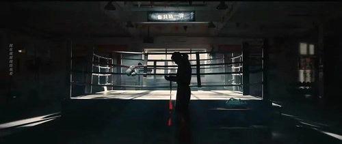 盲道免费观看完整,免费体验视觉障碍者的世界