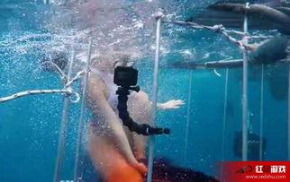 美国av卡瓦莉,揭秘成人娱乐产业的璀璨明珠