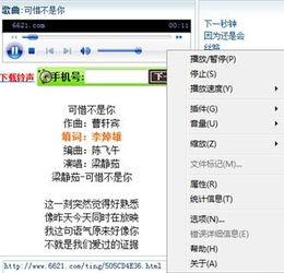 音乐在线播放url,探索音乐在线播放URL背后的精彩世界