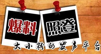 新闻爆料平台,真相与舆论的交汇点