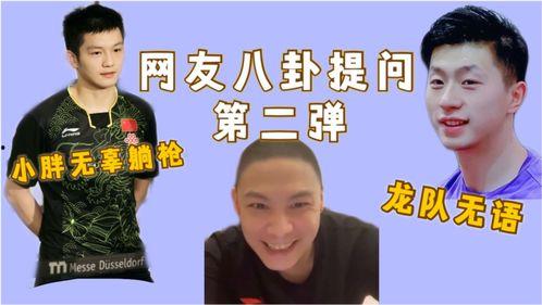 马龙天涯八卦爆料视频,娱乐圈背后的惊人八卦