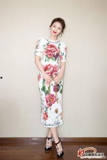 明星系列 正文 刘涛,明星之路的坚韧与辉煌