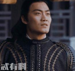 非常岳电视剧免费观看,免费观看，揭秘悬疑背后的真相